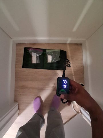 Free Seeds — grow_setup, day 1