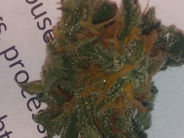  auto mixed pack indoor attempt #1 — flower, day 78