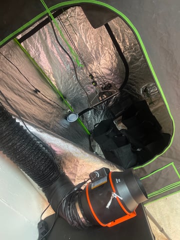 1st Ever Grow (GodFather OG) (Coco) — germination, day 1