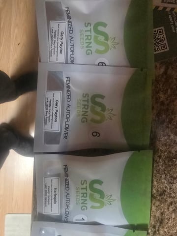 3rd Auto Grow — grow_setup, day 1