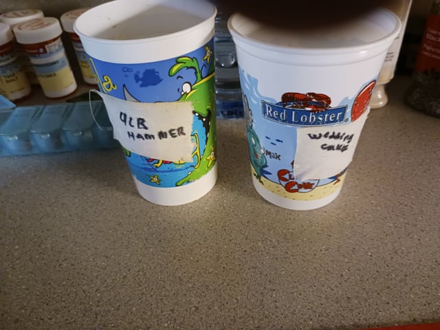 4th grow  — germination, day 58