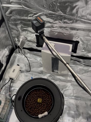 Am inside — grow_setup, day 1