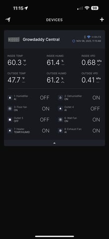 Green Gelato — harvest, day 119