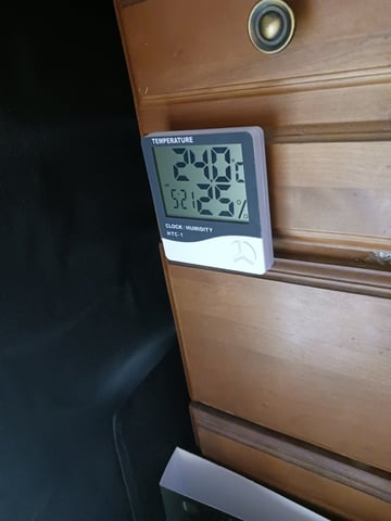 black gorilla feminized  — flower, day 24