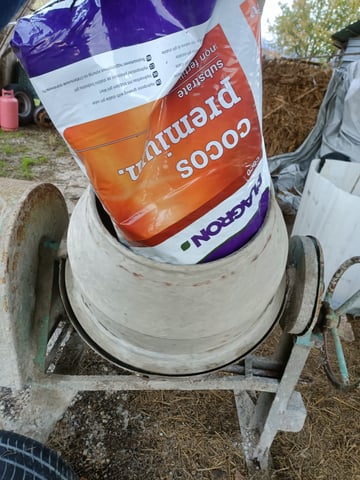 two — vegetative, day 1