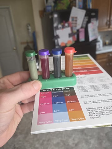 Crones😵‍💫 — vegetative, day 5