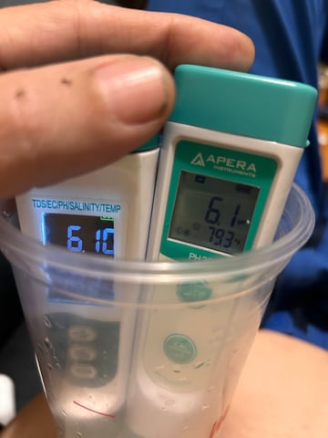 Am inside — vegetative, day 48