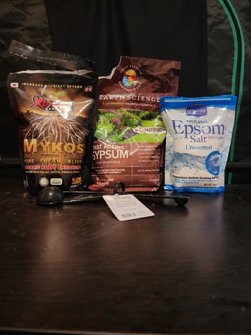 HE1E we GROW  — vegetative, day 71