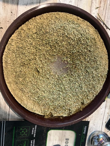 First ever grow — harvest, day 43