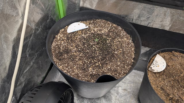 Mixed Grow — grow_setup, day 27