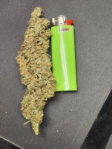 Sour Diesel — done, day 63