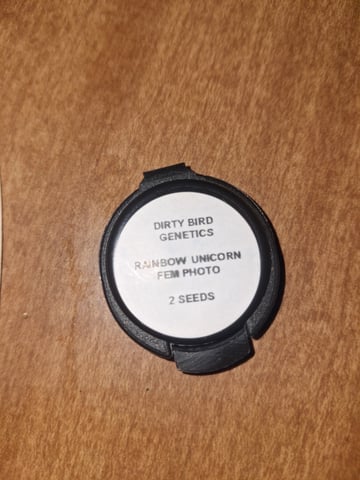 Rainbow Unicorn  — germination, day 1