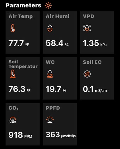  Trying to go big — vegetative, day 60