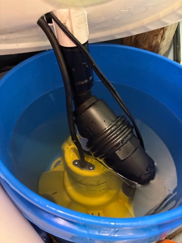 Grow #2 2x2x4 — vegetative, day 31