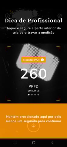 1st Grow - ROYAL MOBY (indoor)(photop.) — seedling_rooting, day 5