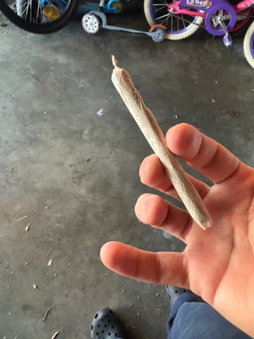 wedding cake auto FIRST GROW! — done, day 96