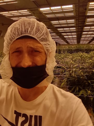 critical purple kush x peyote wifi  in the auto pot system tray 2 grow with added microhazian to the coco coir  — vegetative, day 39