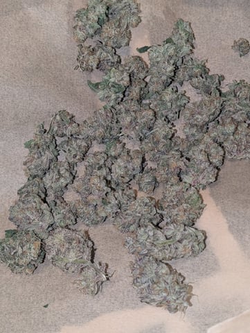 B E A utiful  — harvest, day 145