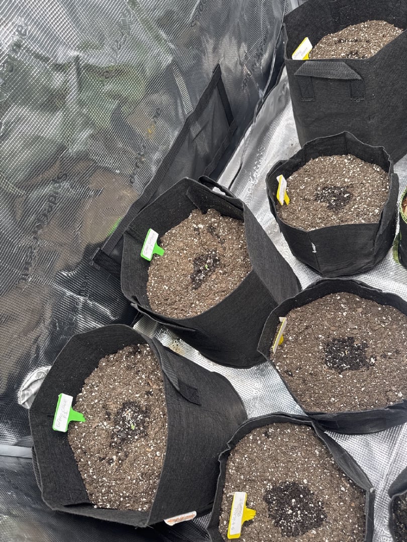 YouTube grow updates 1