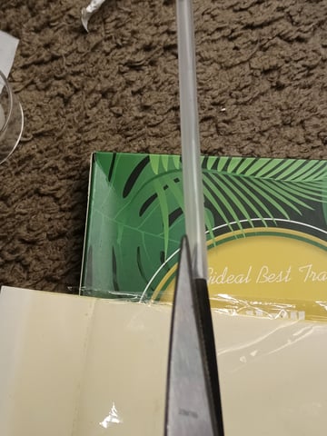 Last girls got kicked. — seedling_rooting, day 4