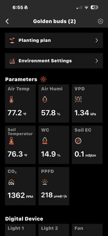  Trying to go big — vegetative, day 56
