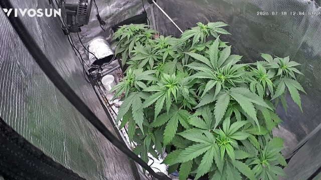 Batch #3