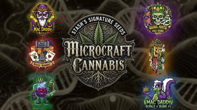 You 🫵 Decide 🗳 — grow_setup, day 10