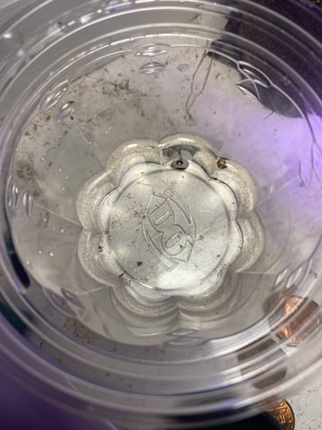 Plant 2 — grow_setup, day 2