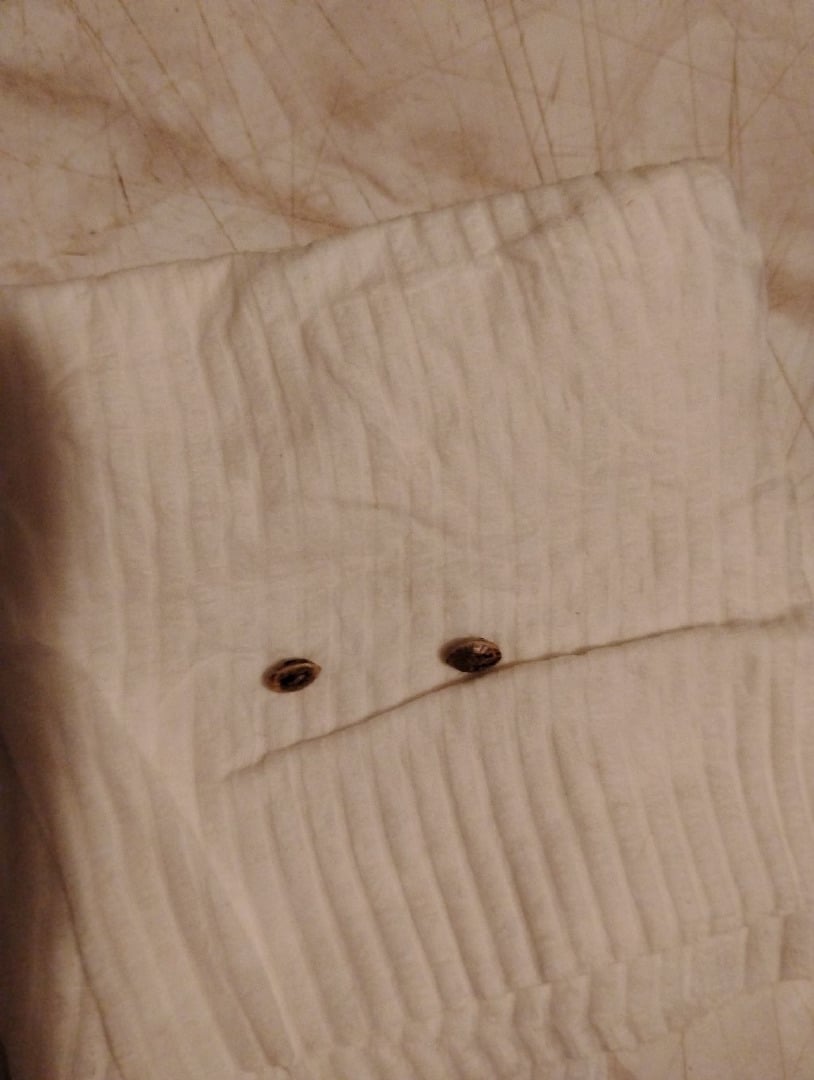 blueberry x Potomac mud 