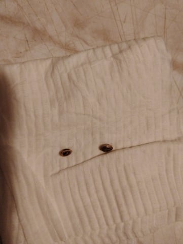 blueberry x Potomac mud  — germination, day 1