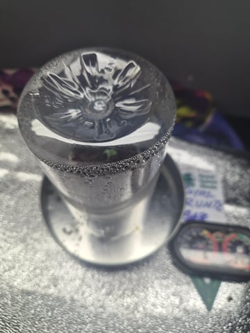 I'll get it right — germination, day 4