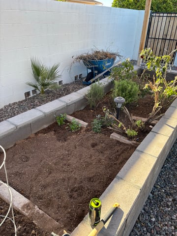 3 seeds  — grow_setup, day 1