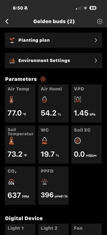  Trying to go big — flower, day 81