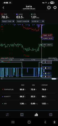 Purple Haze  — vegetative, day 12