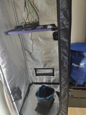 Fast Buds Gorilla Z auto — grow_setup, day 1