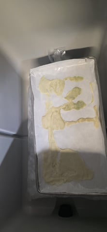 strawberry guava bx — done, day 55