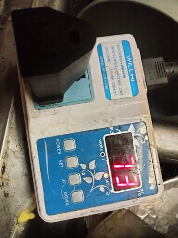 autos — germination, day 67