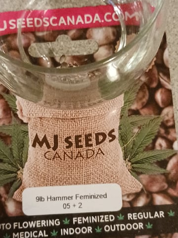 4th grow  — flower, day 170