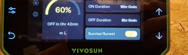 Here We Go Again 😎, This Should Be Good. 🤞👁️👁🤞 — grow_setup, day 17