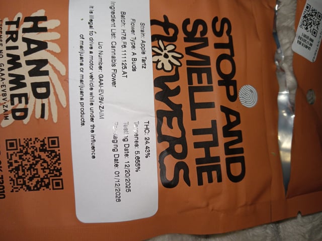 Blueberry critical kush x purple peyote wifi  and one L.a kush cake . — seedling_rooting, day 8