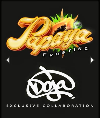 Papaya Frosting  — germination, day 1