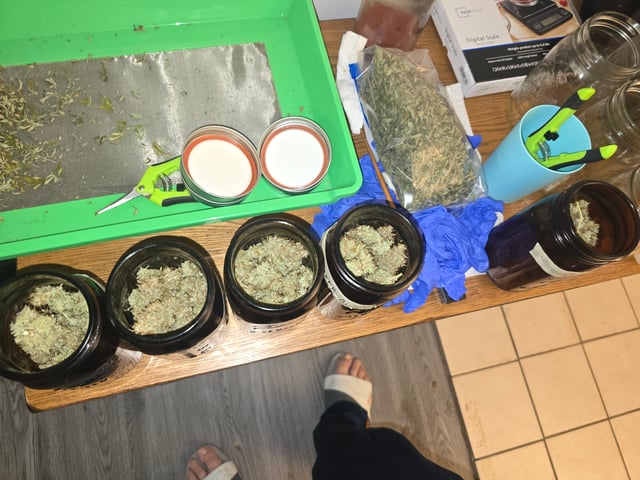 2nd Autoflower Indoor Grow — flower, day 101