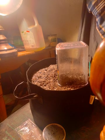 jay seaton  — done, day 161