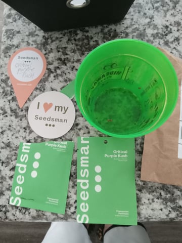 critical purple kush x peyote wifi  in the auto pot system tray 2 grow with added microhazian to the coco coir  — germination, day 1