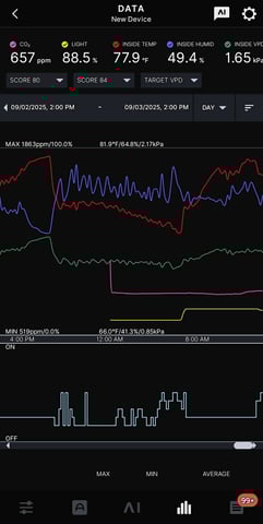 Big Momma Blue Dream  — flower, day 46