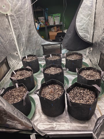 Autos — grow_setup, day 2