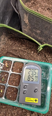 First Grow with the new setup  — seedling_rooting, day 1