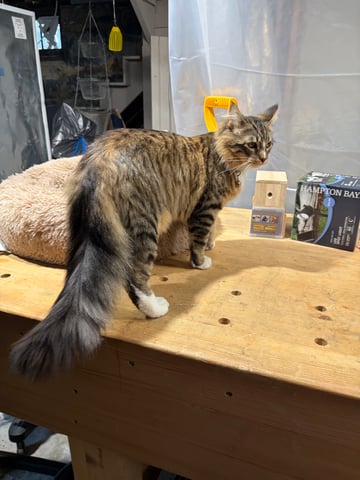 510 First Run! — flower, day 59