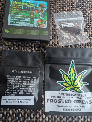 EG/SM/SG/CW — grow_setup, day 1