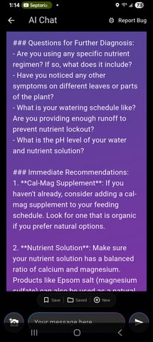 Gurilla Glue #4 × Samsquatch autos — flower, day 66